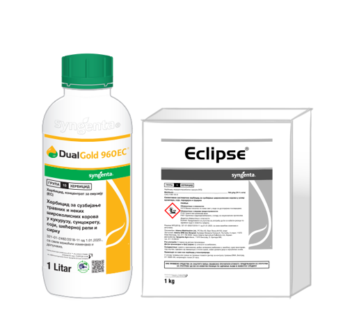 DUAL GOLD I ECLIPSE