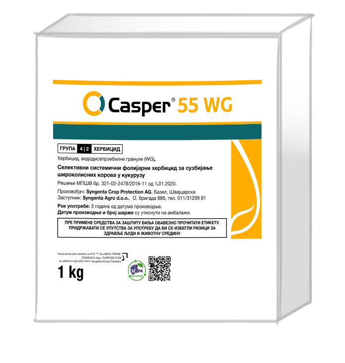 CASPER