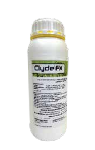 CLYDE FX