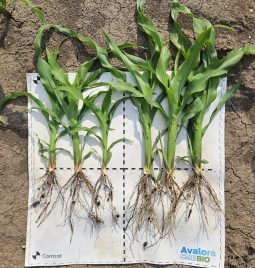 Nova sezona je pred nama – Obezbedite snažan start